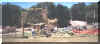 FBG1.jpg (68342 bytes)