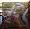 Wet_paddies_from_air.jpg (31223 bytes)