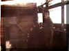 brown_em-shower.jpg (19332 bytes)