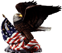 eagle11.gif (15788 bytes)