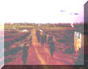 on the road.jpg (63562 bytes)