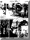 or4dec68pg5.gif (48873 bytes)