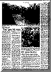 or4sep68pg8.gif (190489 bytes)