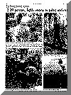 or5feb69pg6.gif (127032 bytes)