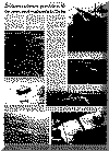 or6aug69pg8.gif (141580 bytes)