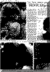or18jun69pg4.gif (122221 bytes)