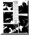 or18oct67pg6.gif (106006 bytes)