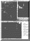 or21may69pg4.gif (75175 bytes)