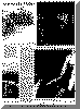 or23apr69pg5.gif (77531 bytes)