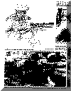 or27nov68pg4.gif (70379 bytes)