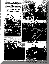 or27nov68pg6.gif (43551 bytes)