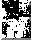 or28may69pg4.gif (82902 bytes)