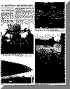 or29nov67pg5.gif (75179 bytes)