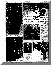 or29nov67pg6.gif (87715 bytes)