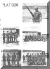 yb1-38.gif (697990 bytes)