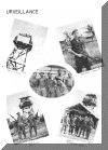 yb91.gif (384898 bytes)