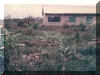 kemosabe13.jpg (93993 bytes)